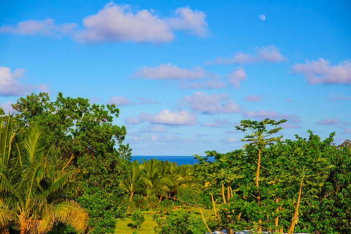 Kirpal Meditation And Ecological Center Pahoa Экстерьер фото