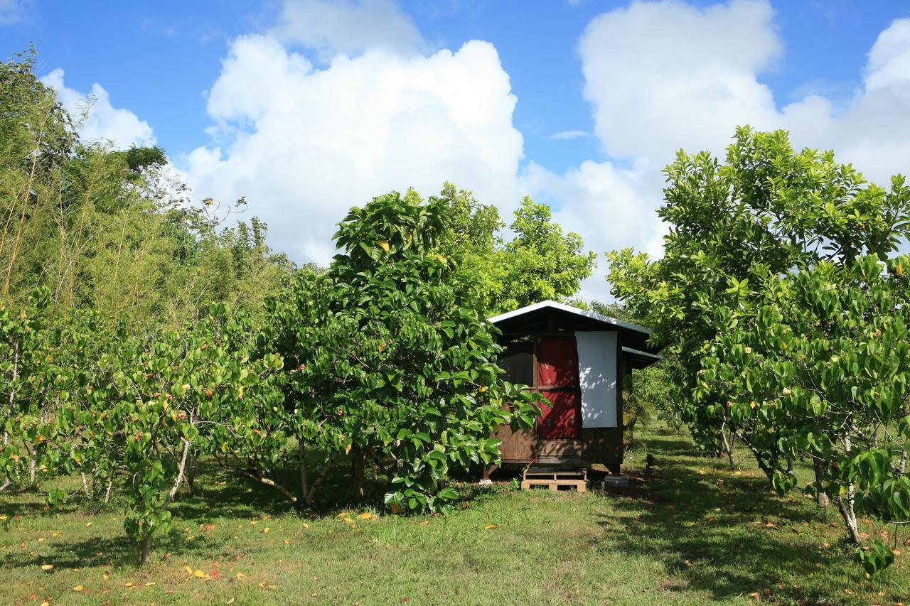 Kirpal Meditation And Ecological Center Pahoa Экстерьер фото