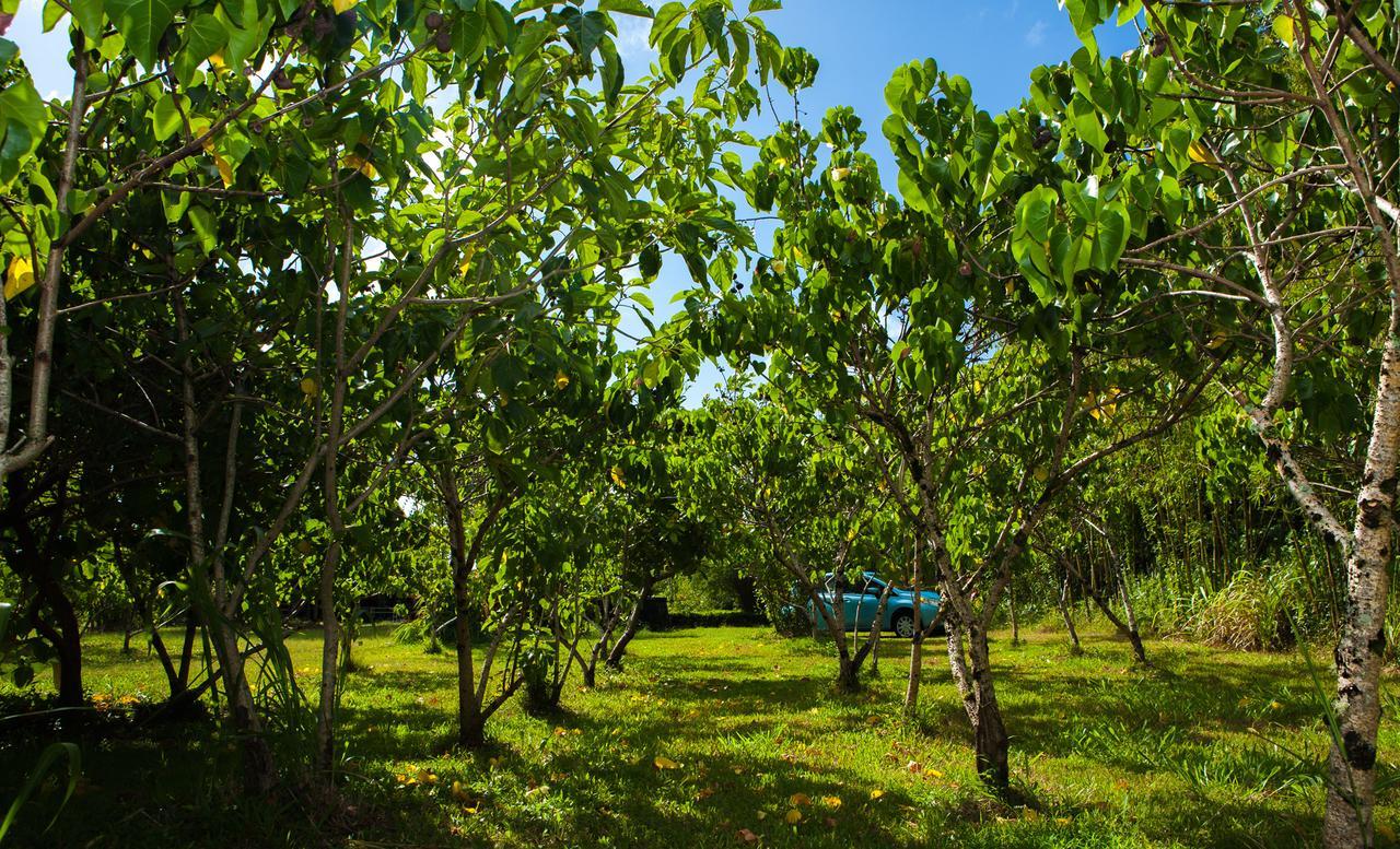 Kirpal Meditation And Ecological Center Pahoa Экстерьер фото