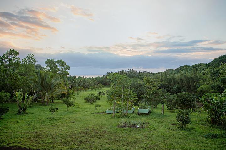 Kirpal Meditation And Ecological Center Pahoa Экстерьер фото