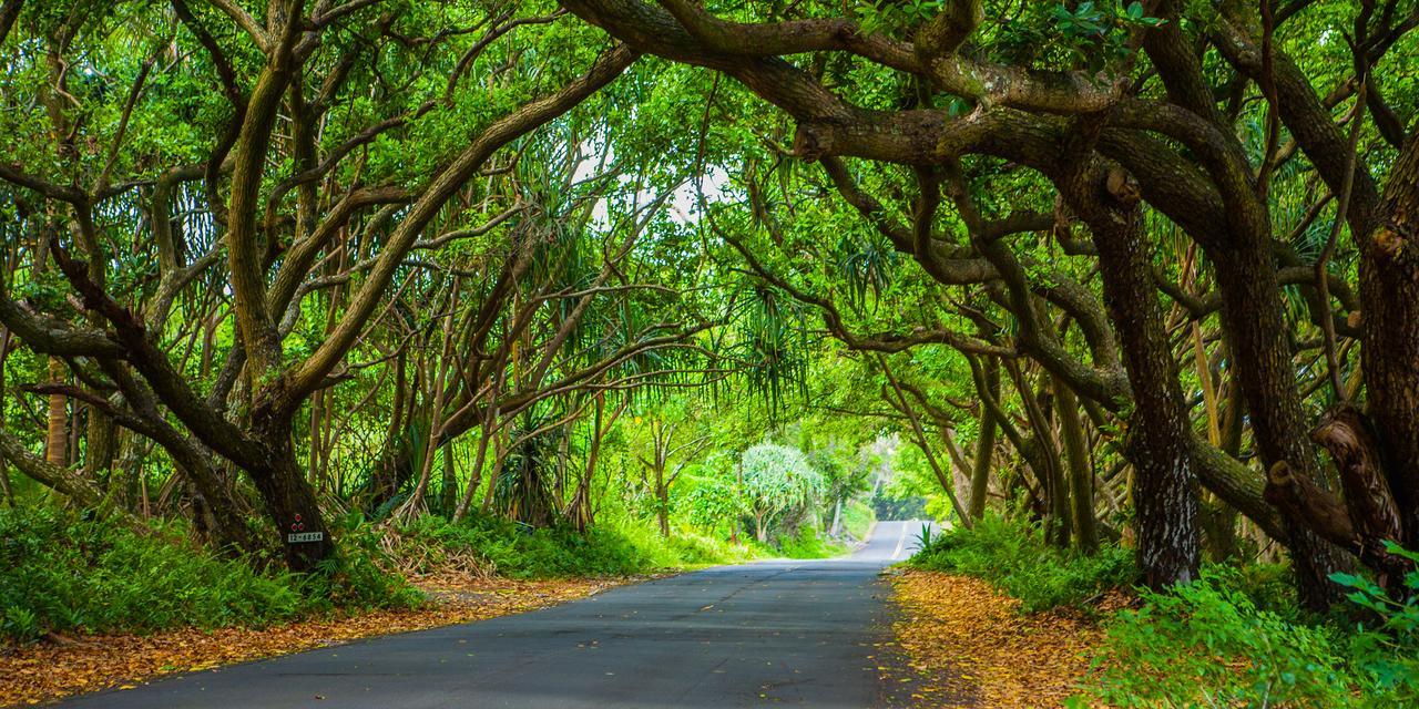 Kirpal Meditation And Ecological Center Pahoa Экстерьер фото