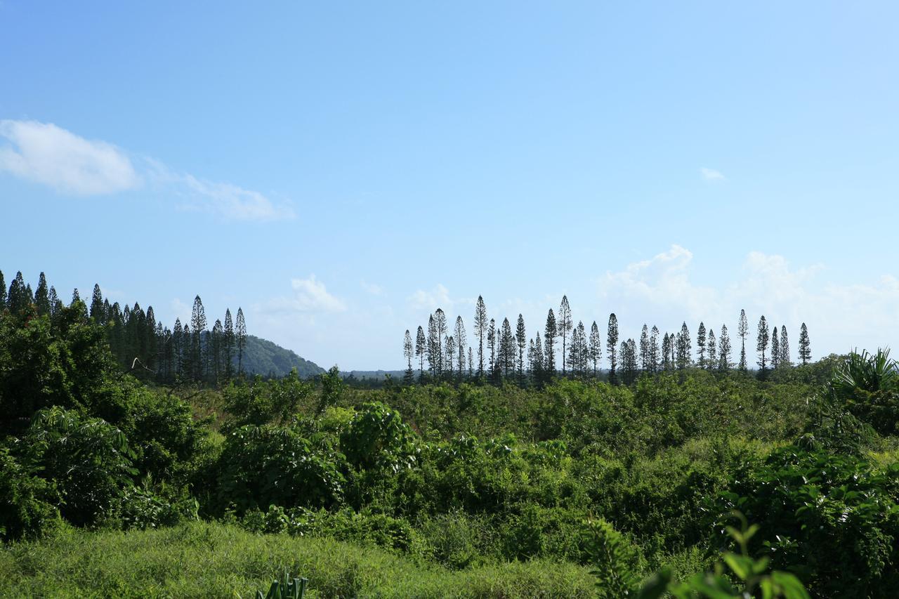 Kirpal Meditation And Ecological Center Pahoa Экстерьер фото